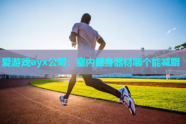 爱游戏ayx公司：室内健身器材哪个能减脂